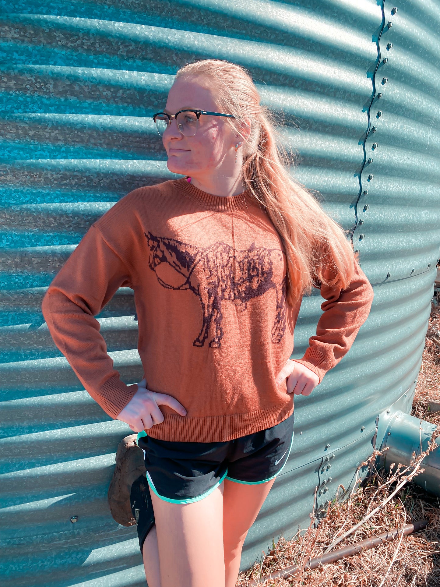 Cowpony Sweater
