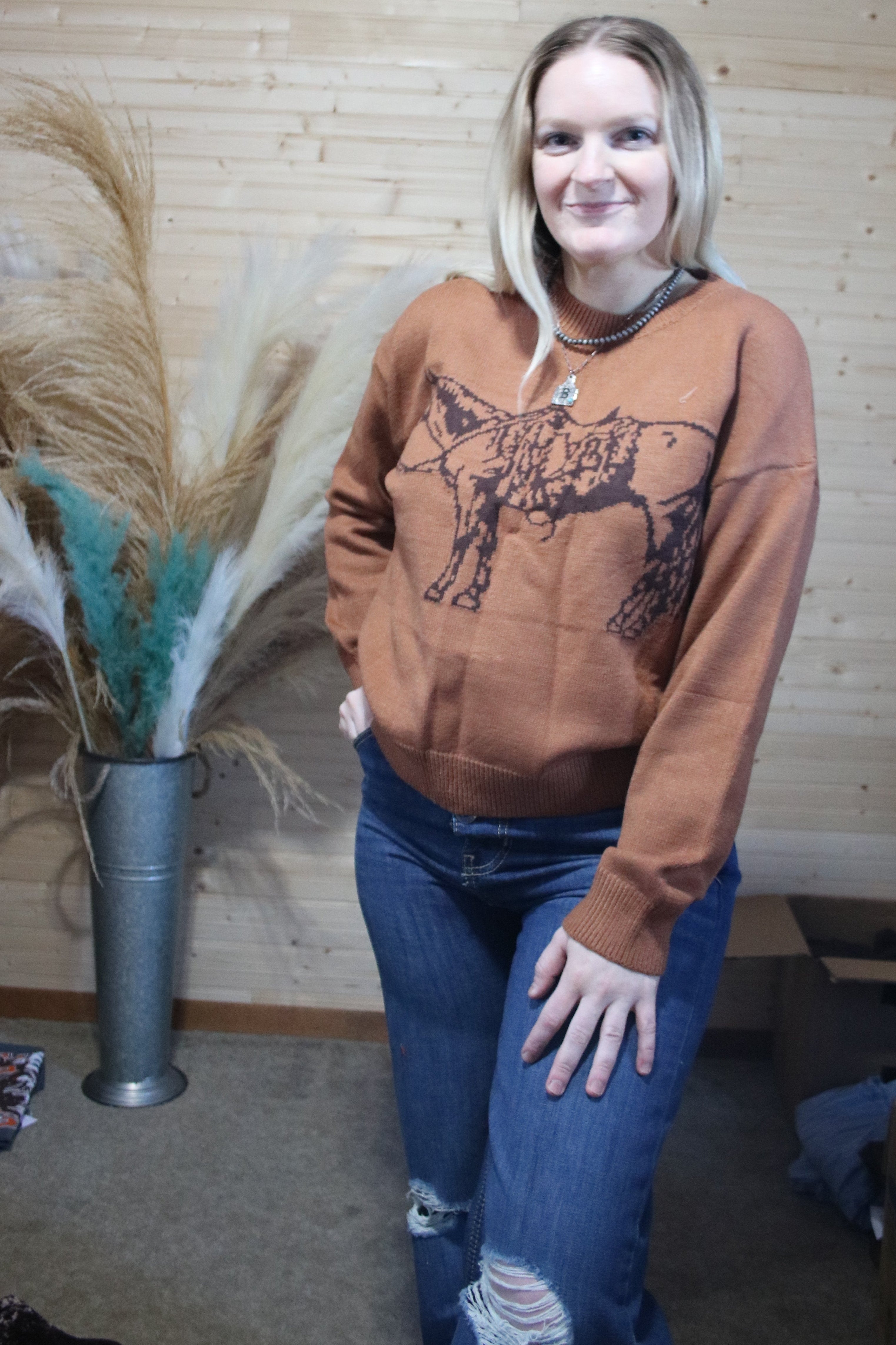Cowpony Sweater