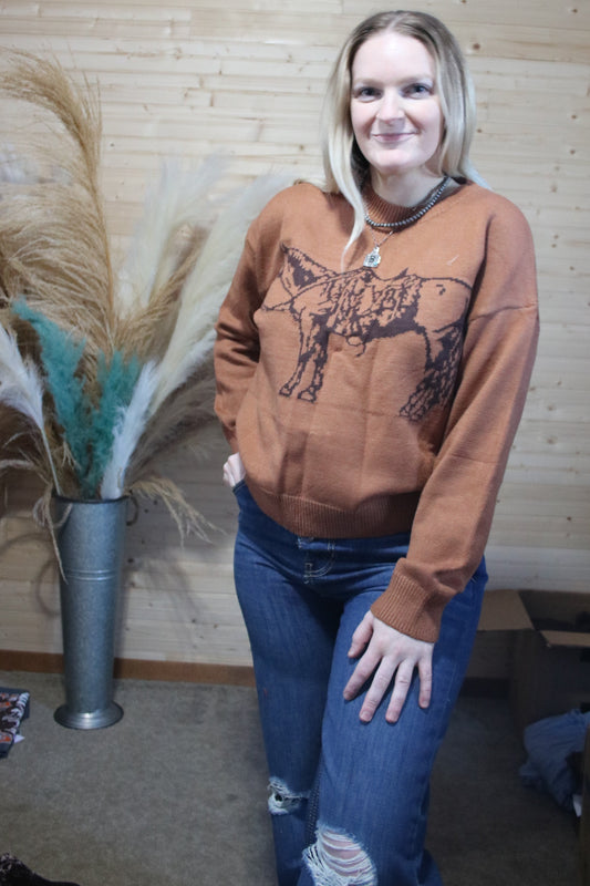 Cowpony Sweater